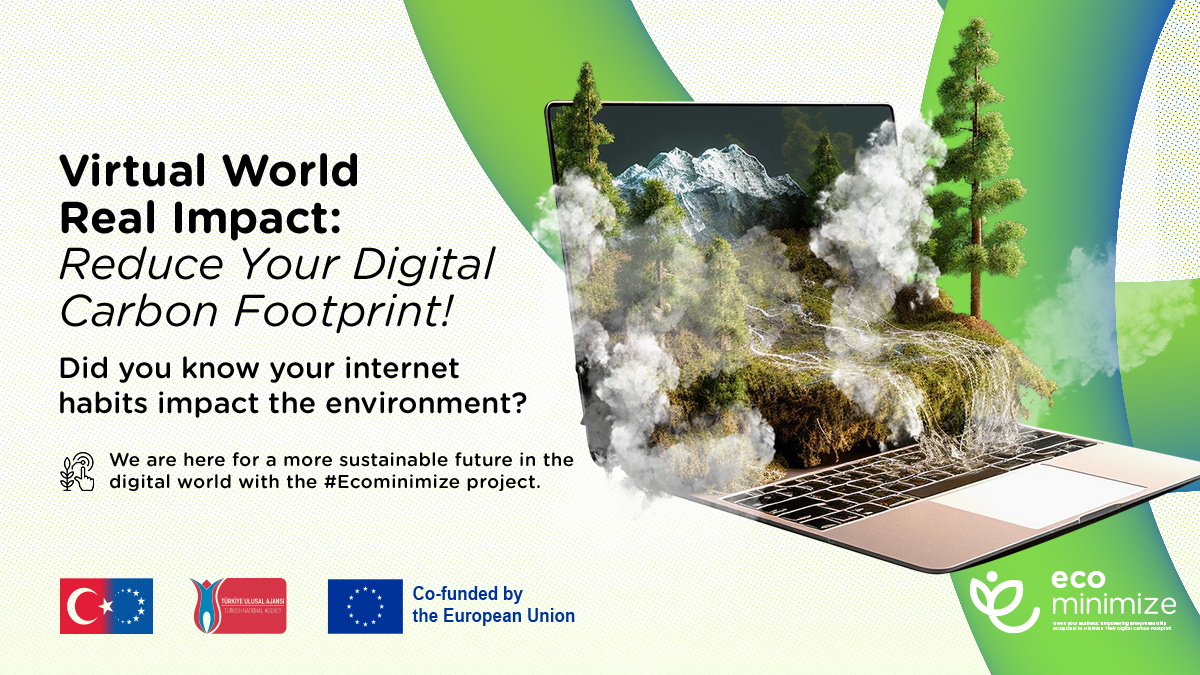 About the Project